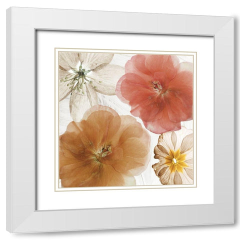 Cottage Refrain I White Modern Wood Framed Art Print with Double Matting by Sommers, Mindy