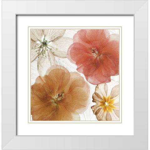 Cottage Refrain I White Modern Wood Framed Art Print with Double Matting by Sommers, Mindy