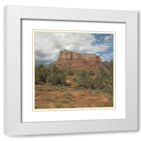 American Southwest White Modern Wood Framed Art Print with Double Matting by Sommers, Mindy