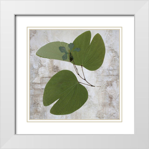Herbarium White Modern Wood Framed Art Print with Double Matting by Sommers, Mindy
