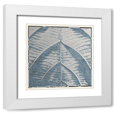 Sky Leaf White Modern Wood Framed Art Print with Double Matting by Sommers, Mindy