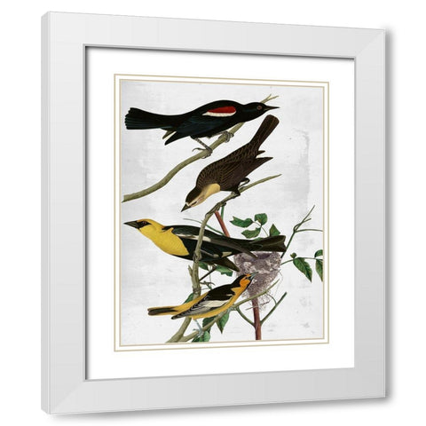 Birds White Modern Wood Framed Art Print with Double Matting by Sommers, Mindy