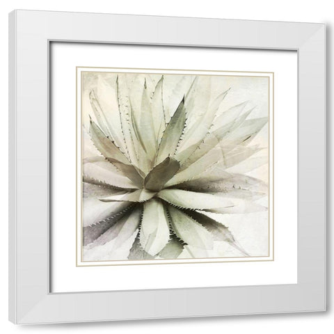 White Agave White Modern Wood Framed Art Print with Double Matting by Sommers, Mindy