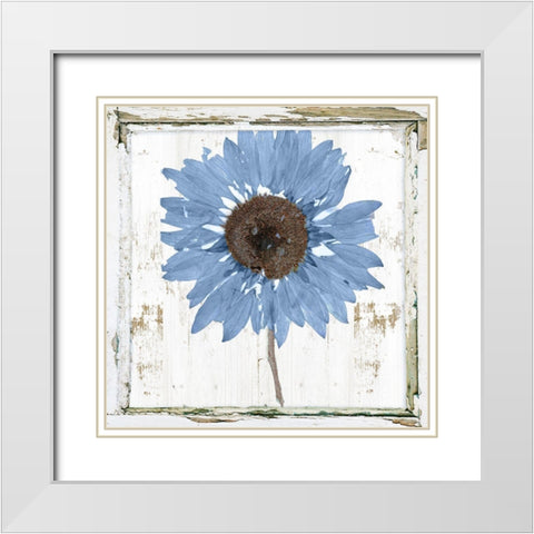 Blue Sunflower Redux White Modern Wood Framed Art Print with Double Matting by Sommers, Mindy