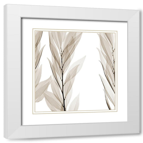 Natural Emotions White Modern Wood Framed Art Print with Double Matting by Sommers, Mindy