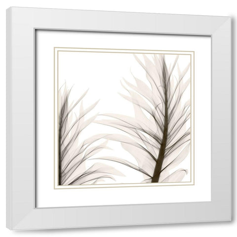 Natural Emotions II White Modern Wood Framed Art Print with Double Matting by Sommers, Mindy