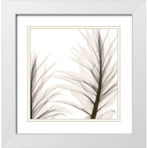 Natural Emotions II White Modern Wood Framed Art Print with Double Matting by Sommers, Mindy
