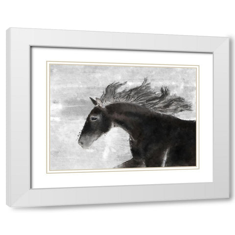 Black Horse White Modern Wood Framed Art Print with Double Matting by Sommers, Mindy