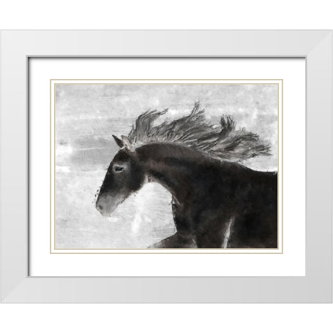 Black Horse White Modern Wood Framed Art Print with Double Matting by Sommers, Mindy