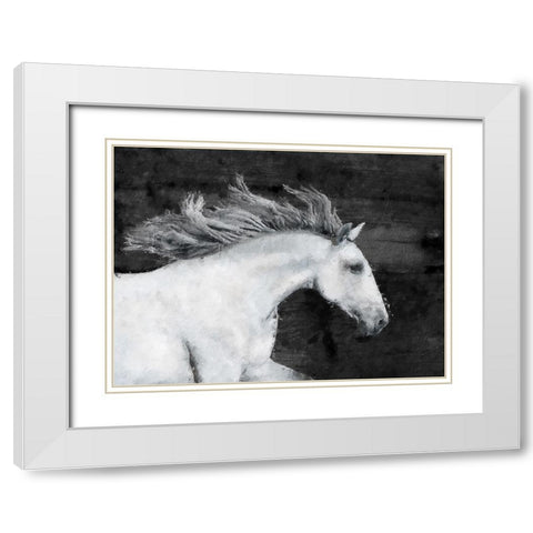 White Horse White Modern Wood Framed Art Print with Double Matting by Sommers, Mindy