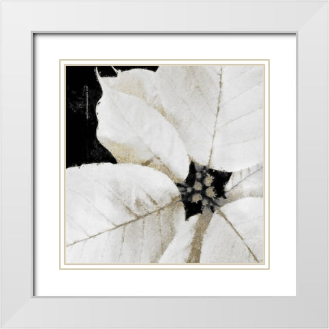 White Poinsettia White Modern Wood Framed Art Print with Double Matting by Sommers, Mindy