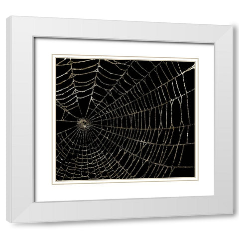 Spider Web White Modern Wood Framed Art Print with Double Matting by Sommers, Mindy
