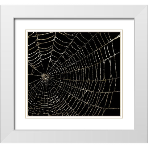 Spider Web White Modern Wood Framed Art Print with Double Matting by Sommers, Mindy