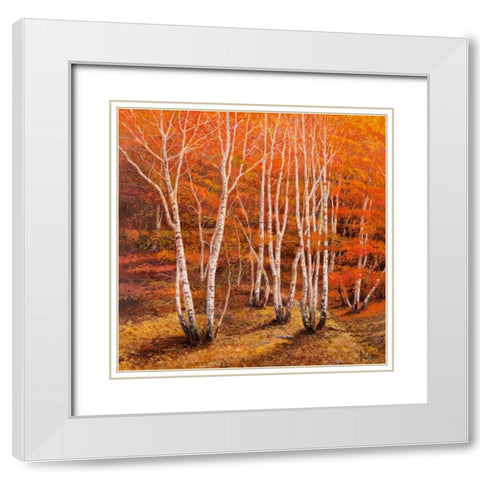 Bosco di betulle II White Modern Wood Framed Art Print with Double Matting by Galasso, Adriano