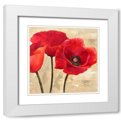 Red Poppies White Modern Wood Framed Art Print with Double Matting by Ann, Cynthia
