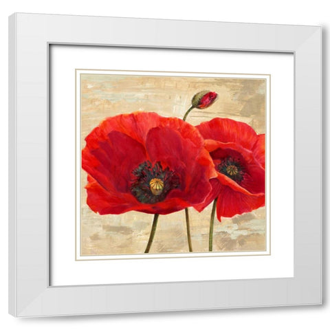 Red Poppies (detail II) White Modern Wood Framed Art Print with Double Matting by Ann, Cynthia