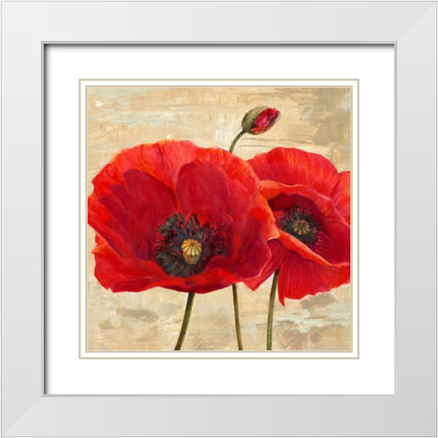 Red Poppies (detail II) White Modern Wood Framed Art Print with Double Matting by Ann, Cynthia
