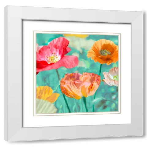 Poppies in Bloom II White Modern Wood Framed Art Print with Double Matting by Cynthia, Ann
