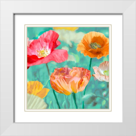 Poppies in Bloom II White Modern Wood Framed Art Print with Double Matting by Cynthia, Ann