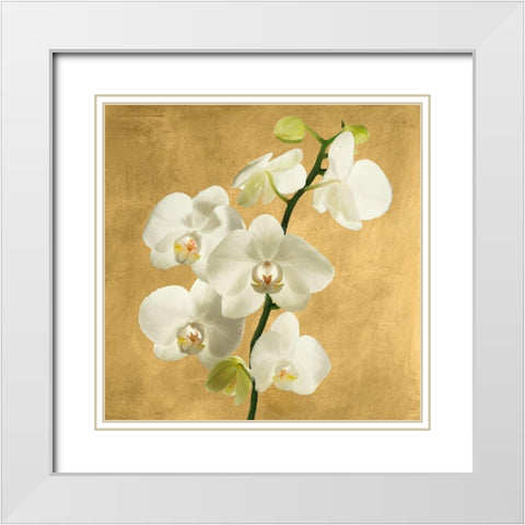 Orchids on a Golden Background II White Modern Wood Framed Art Print with Double Matting by Antinori, Andrea