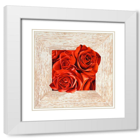 French Roses I White Modern Wood Framed Art Print with Double Matting by Benson, Pierre