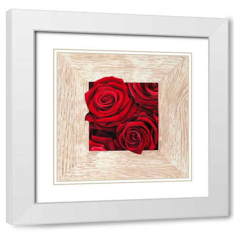 French Roses II White Modern Wood Framed Art Print with Double Matting by Benson, Pierre