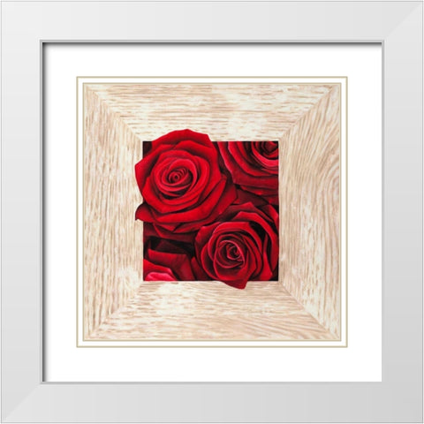 French Roses II White Modern Wood Framed Art Print with Double Matting by Benson, Pierre