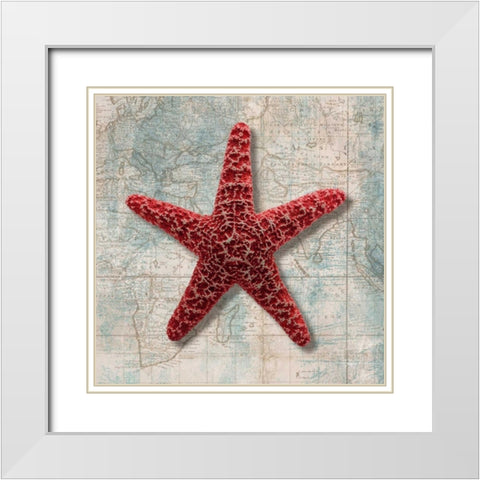 Starfish White Modern Wood Framed Art Print with Double Matting by Broome, Ted