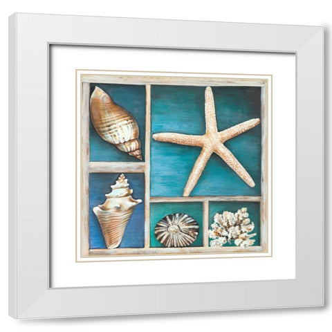 Collection of Memories II White Modern Wood Framed Art Print with Double Matting by Broome, Ted