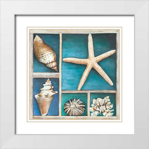 Collection of Memories II White Modern Wood Framed Art Print with Double Matting by Broome, Ted