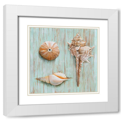 Bretagne III White Modern Wood Framed Art Print with Double Matting by Broome, Ted