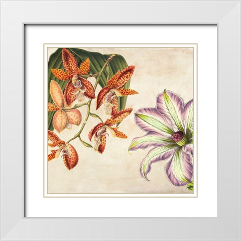 Panneau Botanique V White Modern Wood Framed Art Print with Double Matting by Dellal, Remy