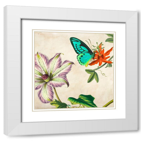 Panneau Botanique VI White Modern Wood Framed Art Print with Double Matting by Dellal, Remy