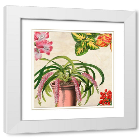 Panneau Botanique VII White Modern Wood Framed Art Print with Double Matting by Dellal, Remy
