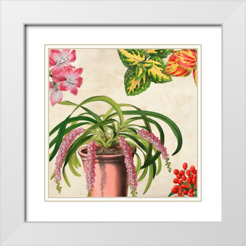 Panneau Botanique VII White Modern Wood Framed Art Print with Double Matting by Dellal, Remy