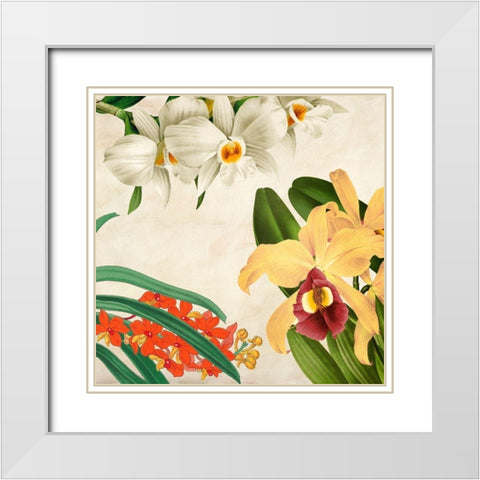 Panneau Botanique VIII White Modern Wood Framed Art Print with Double Matting by Dellal, Remy