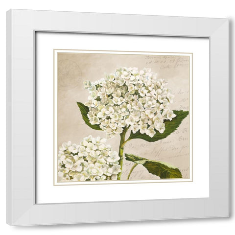 Hydrangeas II (Neutre) White Modern Wood Framed Art Print with Double Matting by Remy, Dellal