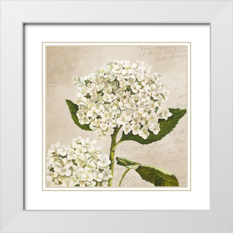 Hydrangeas II (Neutre) White Modern Wood Framed Art Print with Double Matting by Remy, Dellal