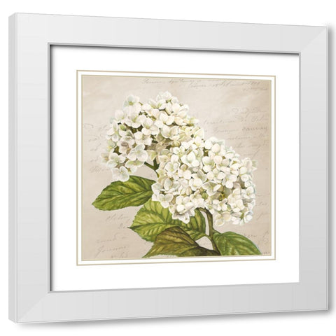 Hydrangeas III (Neutre) White Modern Wood Framed Art Print with Double Matting by Remy, Dellal