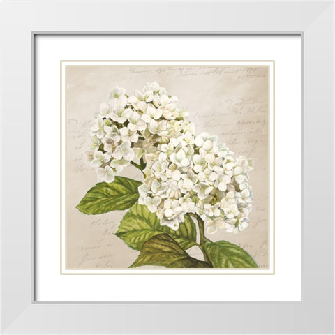 Hydrangeas III (Neutre) White Modern Wood Framed Art Print with Double Matting by Remy, Dellal