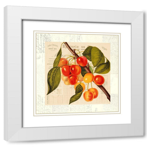 Cerises White Modern Wood Framed Art Print with Double Matting by Dellal, Remy
