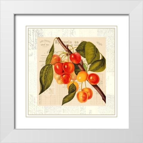 Cerises White Modern Wood Framed Art Print with Double Matting by Dellal, Remy