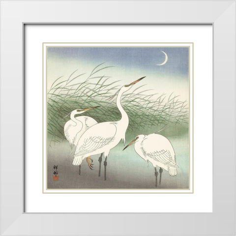 Herons in shallow water White Modern Wood Framed Art Print with Double Matting by Koson, Ohara