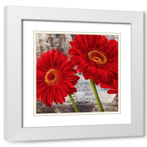 Red Gerberas I White Modern Wood Framed Art Print with Double Matting by Thomlinson, Jenny