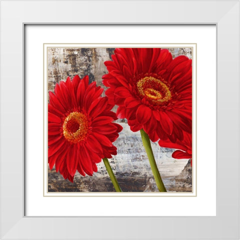 Red Gerberas I White Modern Wood Framed Art Print with Double Matting by Thomlinson, Jenny