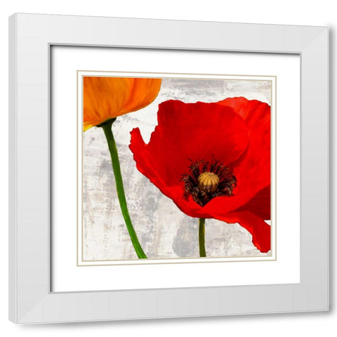 Summer Poppies I White Modern Wood Framed Art Print with Double Matting by Thomlinson, Jenny