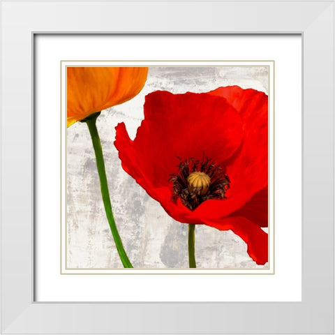 Summer Poppies I White Modern Wood Framed Art Print with Double Matting by Thomlinson, Jenny