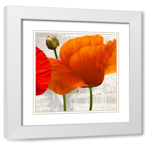 Summer Poppies II White Modern Wood Framed Art Print with Double Matting by Thomlinson, Jenny