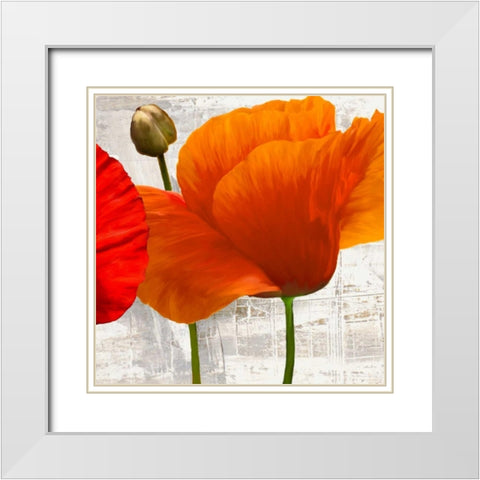 Summer Poppies II White Modern Wood Framed Art Print with Double Matting by Thomlinson, Jenny