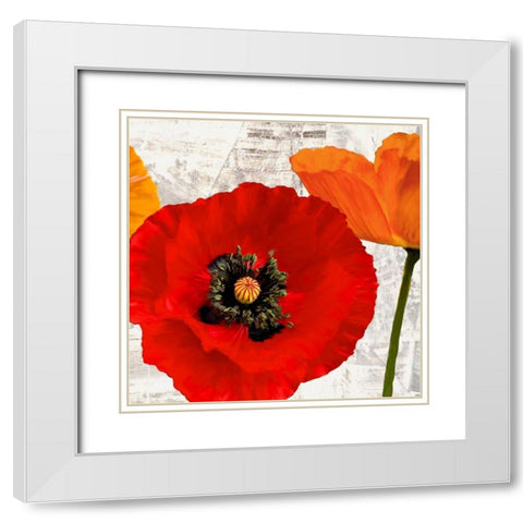 Summer Poppies III White Modern Wood Framed Art Print with Double Matting by Thomlinson, Jenny